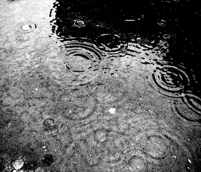 black and white rain puddle